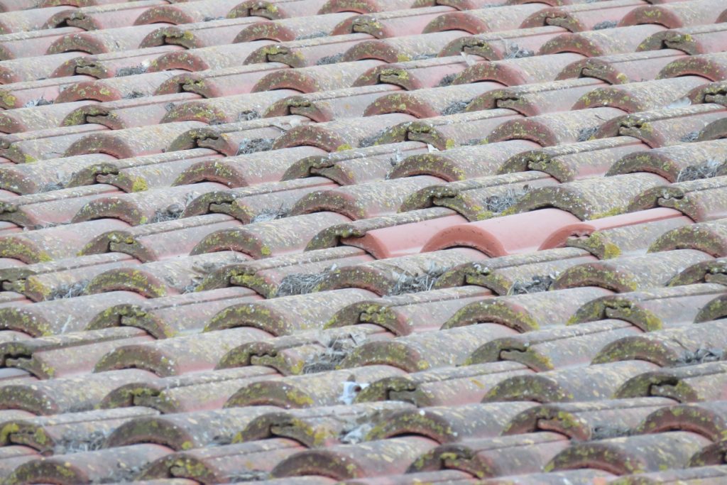 mismatched roof tile iStock 510867815